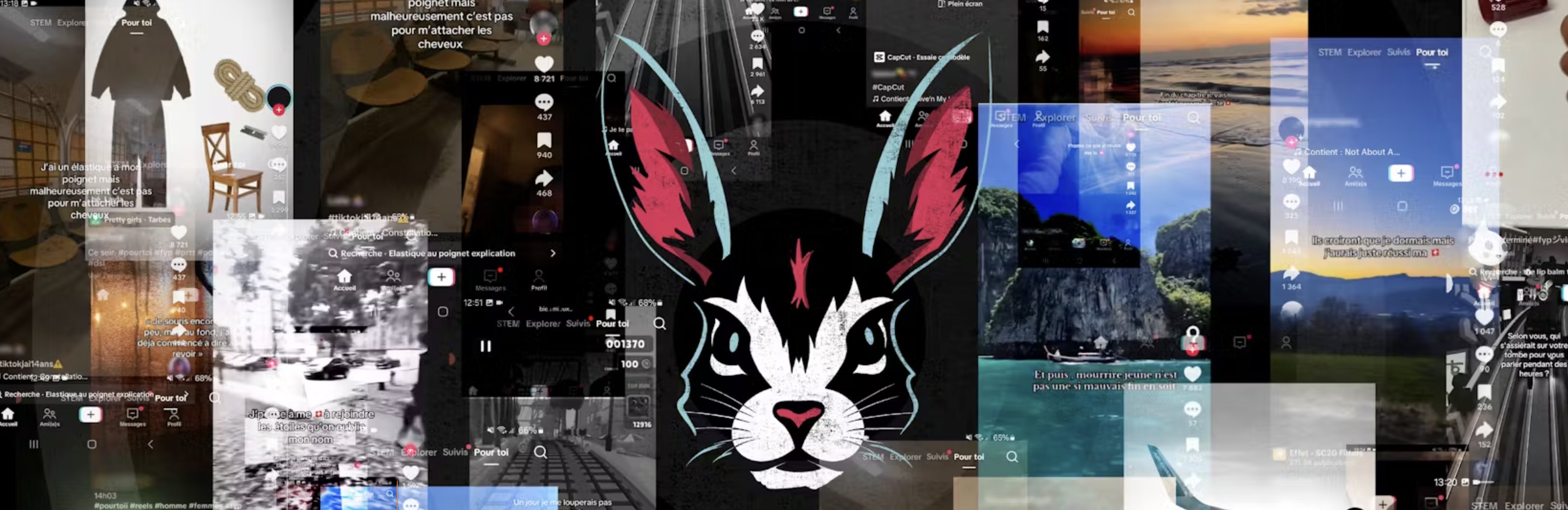 Des captures d'écran issus de Tik Tok