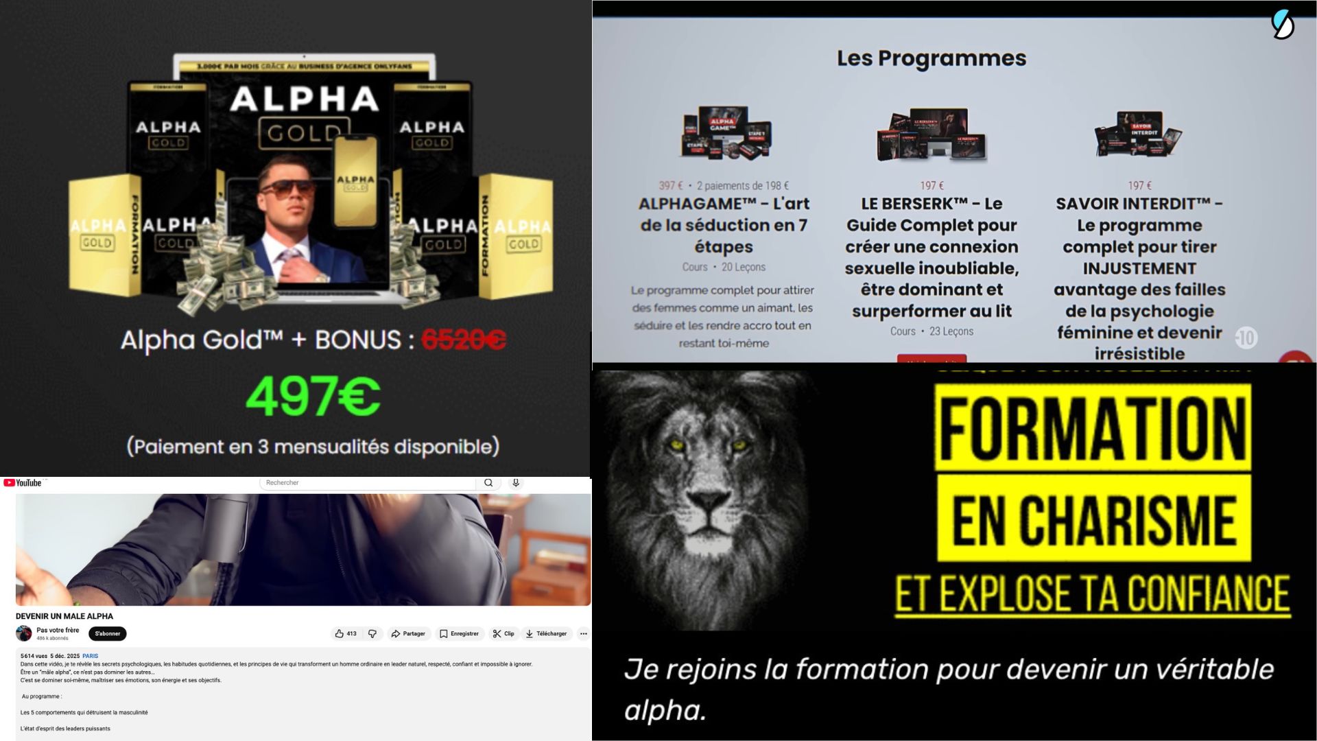 publicités pour des formations pour devenir un mâle alpha