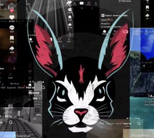 Des captures d'écran issus de Tik Tok